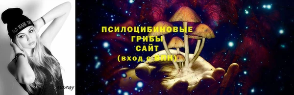 каннабис Арсеньев