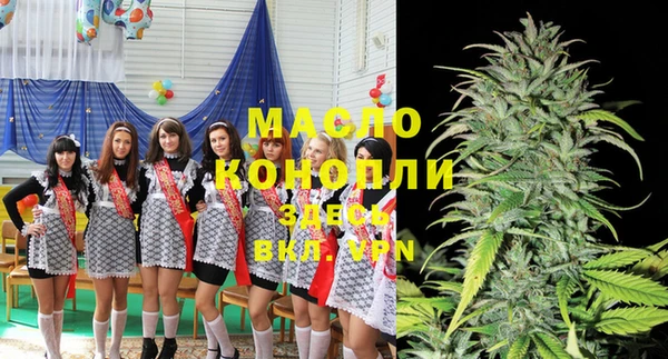 молекула духа Михайлов