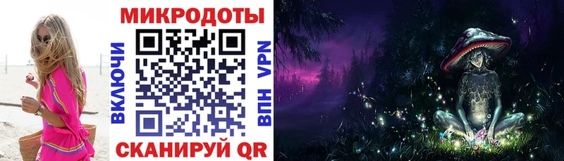 как найти наркотики Гвардейск Галлюциногенные грибы мицелий